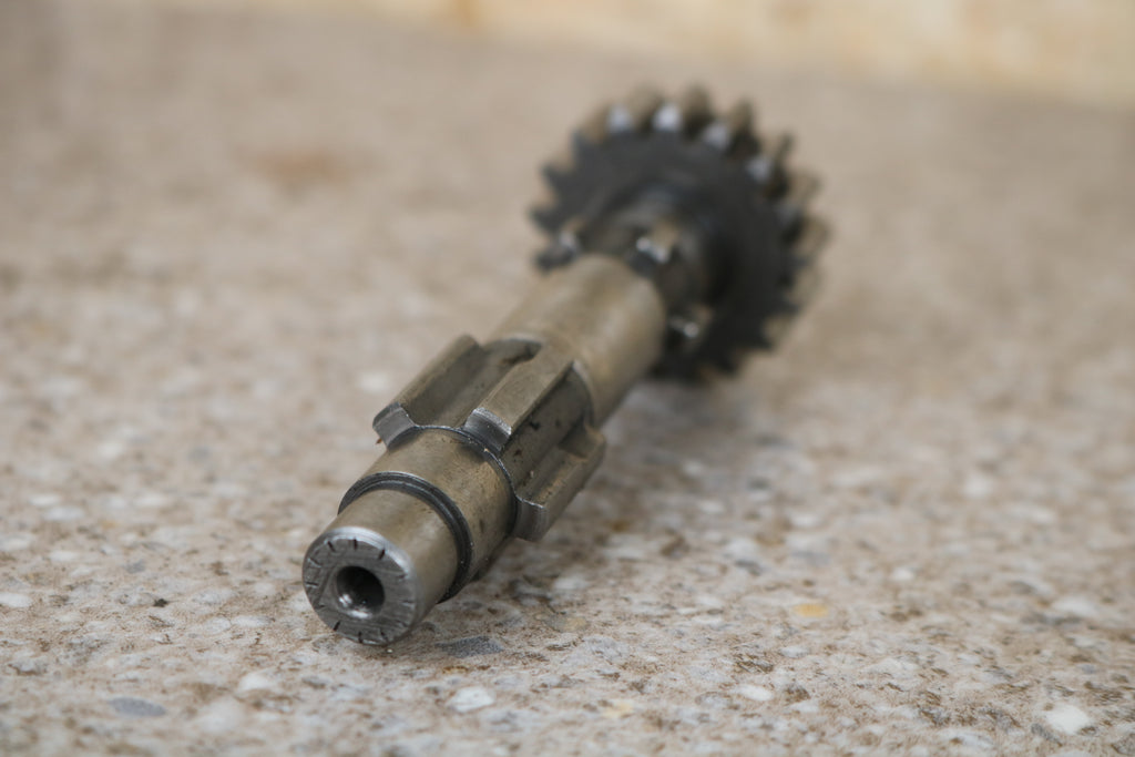 Vorgelgewelle neue Auführung