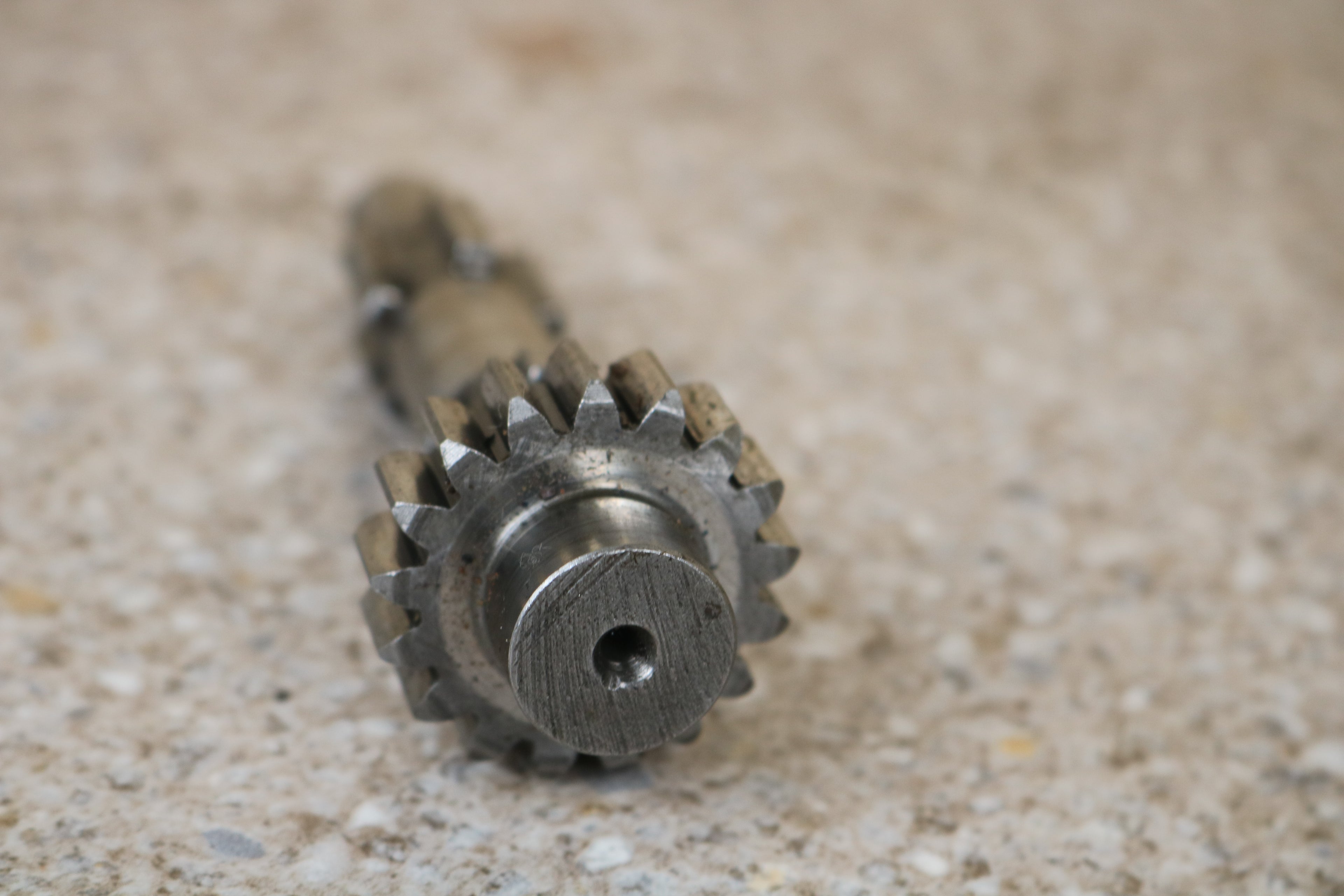 Vorgelgewelle neue Auführung